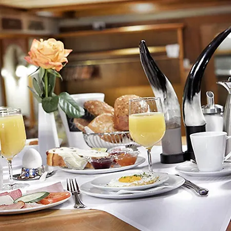 Zum Goldenen Ochsen Am Schlossgarten 3*