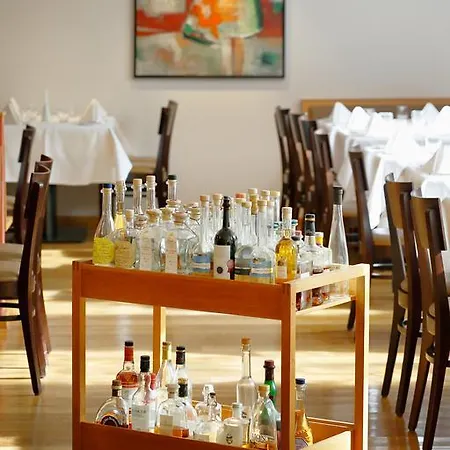 Hotel Zum Goldenen Ochsen Am Schlossgarten 3*
