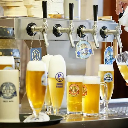 Hotel Zum Goldenen Ochsen Am Schlossgarten 3*