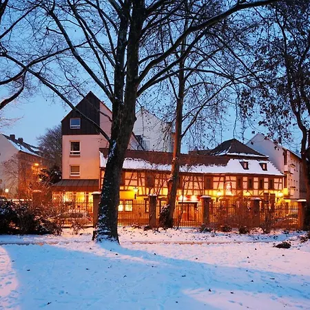 Zum Goldenen Ochsen Am Schlossgarten 3* Aschaffenburg