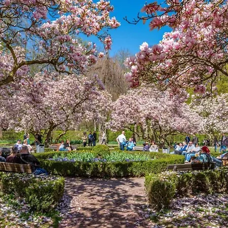 Zum Goldenen Ochsen Am Schlossgarten 3*
