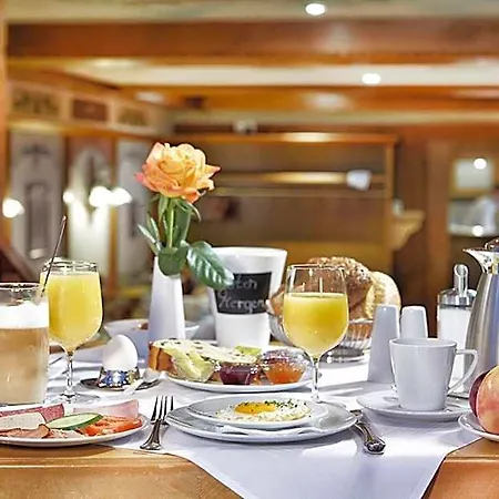 Zum Goldenen Ochsen, Hotel&gasthaus Am Schlossgarten Aschaffenburg